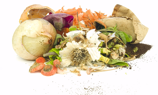 food-waste-recycling food-waste-recycling.jpg