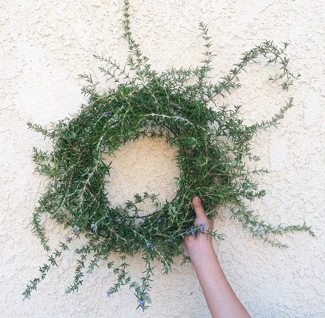 rosemarywreath rosemarywreath.jpg