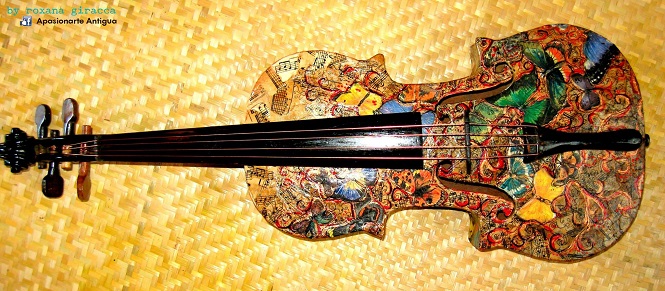 roxanaviolin roxanaviolin.jpg