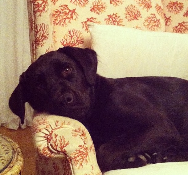 tuukka-rescue tuukka_rescue.jpg